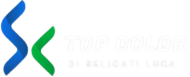 Top Color di Selicati Luca